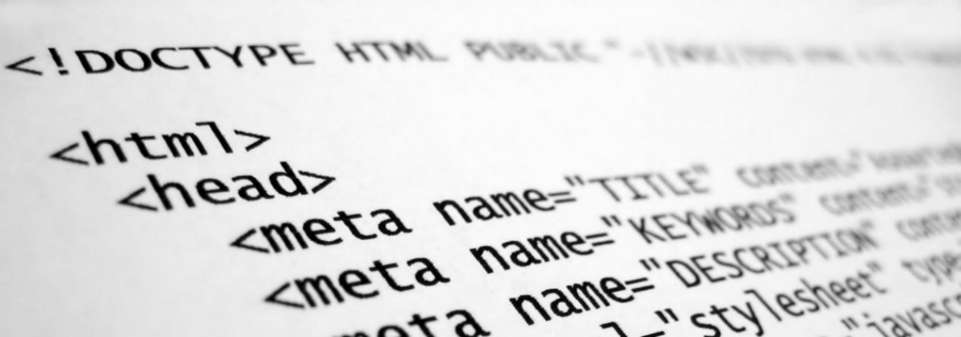 Portfolio Theme Image